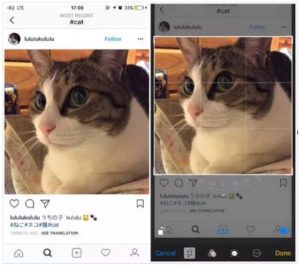 How to save Instagram photos on iPhone